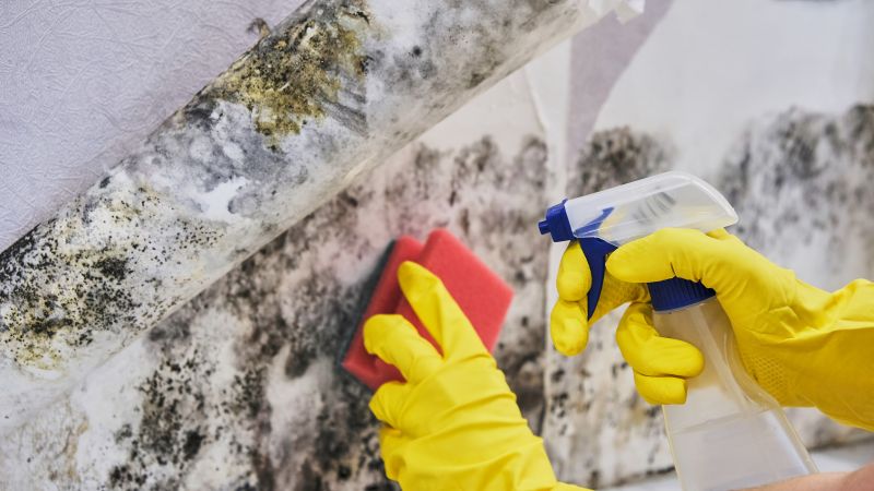 Air Duct Mold Removal in Jupiter, FL