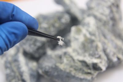 Asbestos Inspection Service in Freehold, NJ