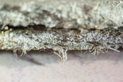 Asbestos Remediation in Freehold, NJ