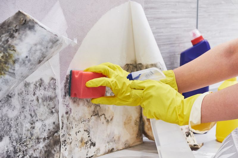 Attic Mold Remediation in Fort Worth, TX
