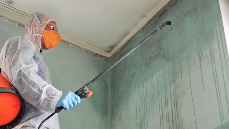 Attic Mold Remediation in Frisco, TX