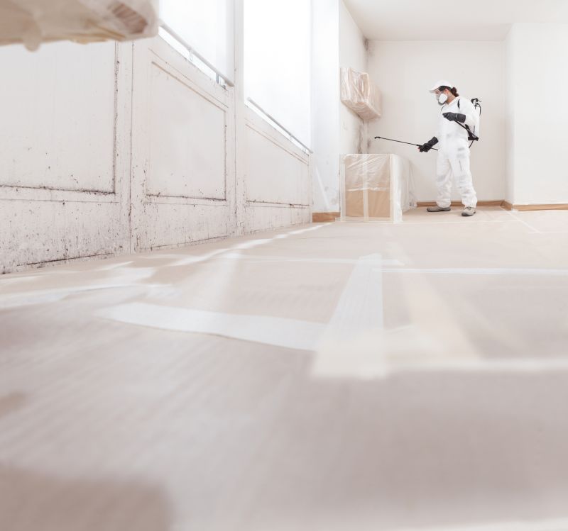Attic Mold Remediation in Broward County, FL