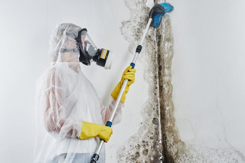 Basement Mold Remediation in Boca Raton, FL