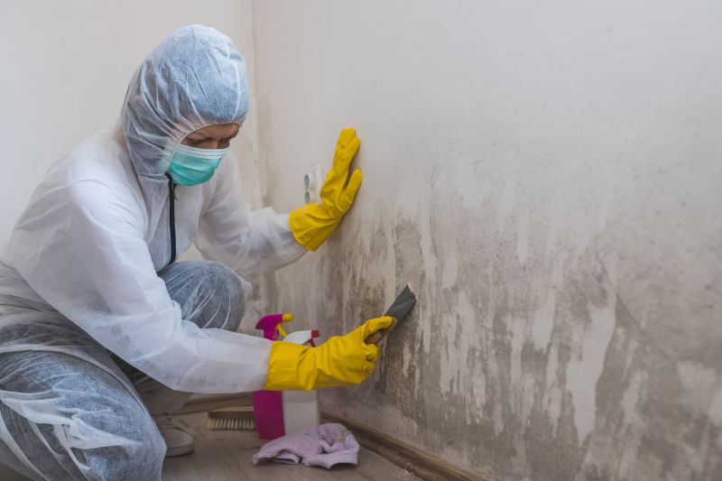 Basement Mold Removal in Essex County, NJ
