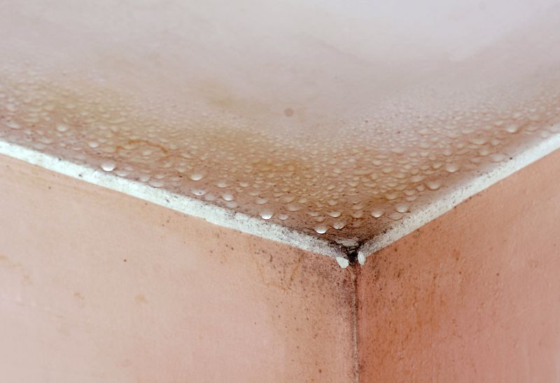 Basement Mold Removal in Jupiter, FL