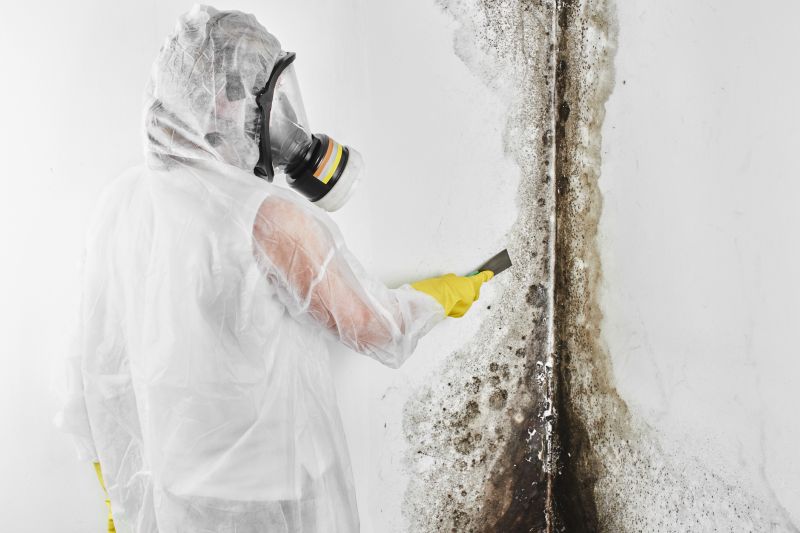 Black Mold Remediation in Jupiter, FL
