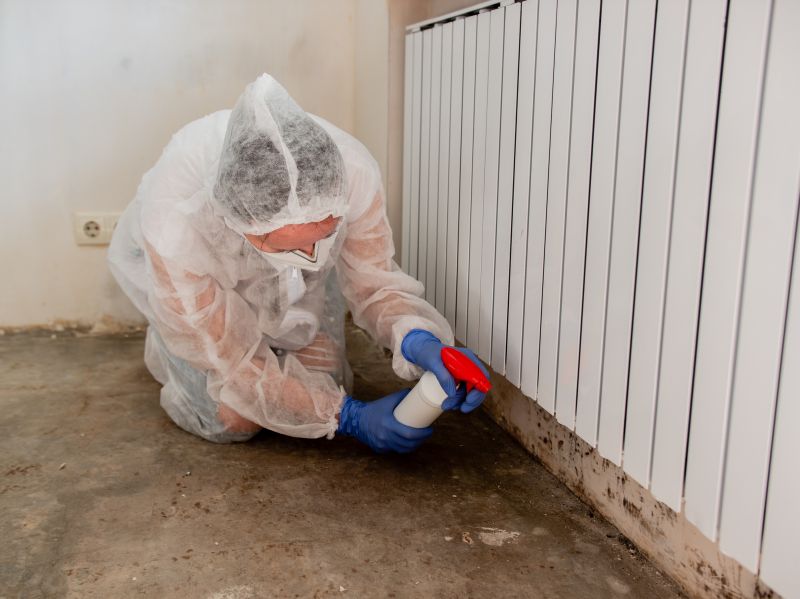 Black Mold Remediation in Dallas, TX