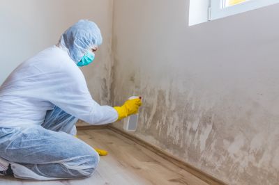 Crawlspace Mold Remediation in Essex County, NJ