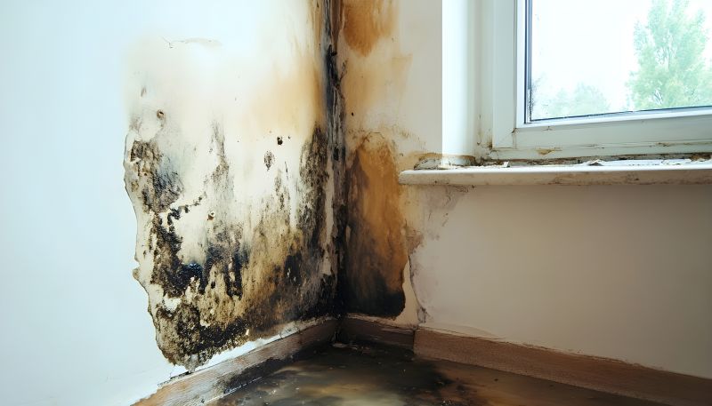 Garage Mold Remediation in Bergen County, NJ