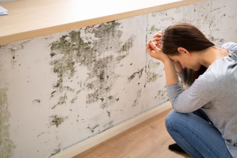 Mold Abatement in Frisco, TX