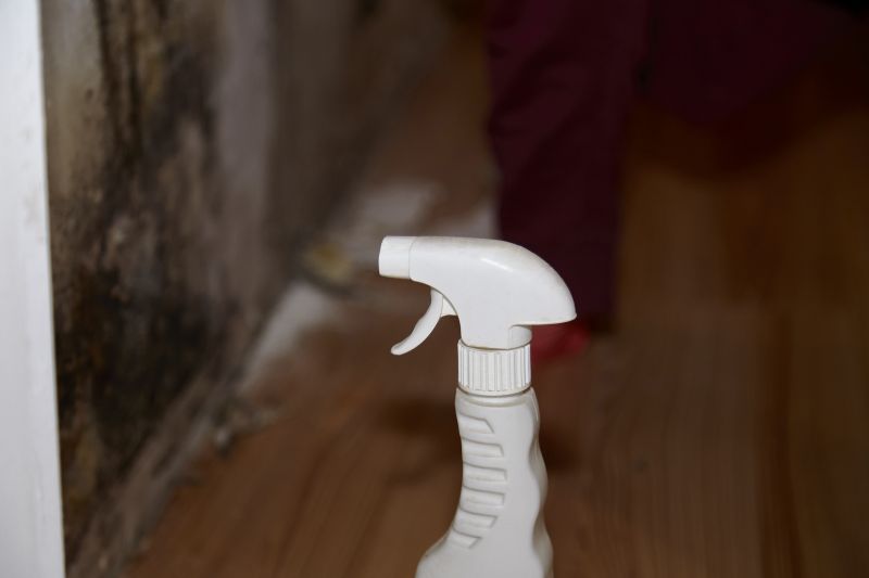 Mold Cleanup Service in Fort Worth, TX