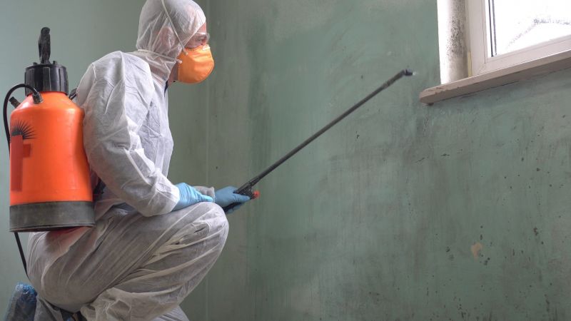 Mold Control in Fort Worth, TX