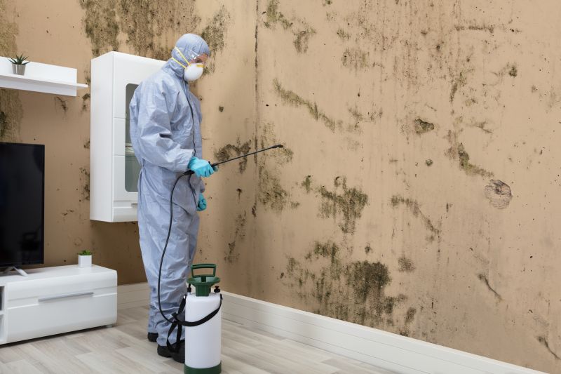 Mold Control in Weatherford, TX
