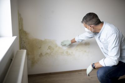Mold Mitigation Service in Bergen County, NJ