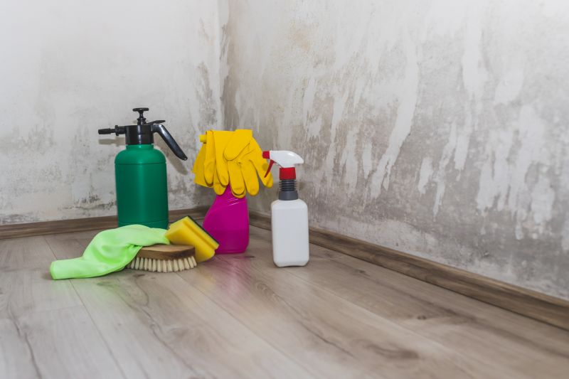 Mold Mitigation Service in Essex County, NJ