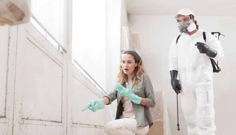 Mold Remediation Service in West Palm Beach, FL