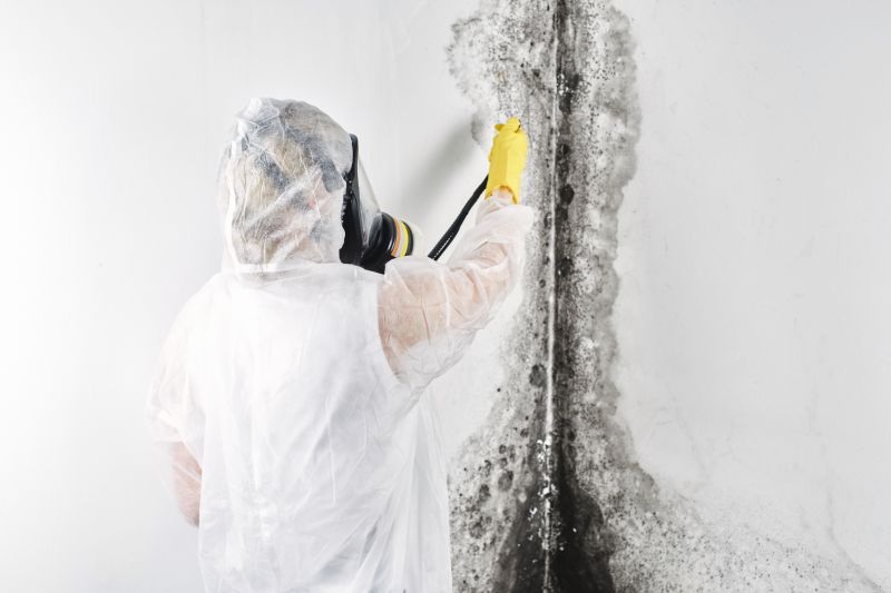 Mold Remediation Service in Essex County, NJ
