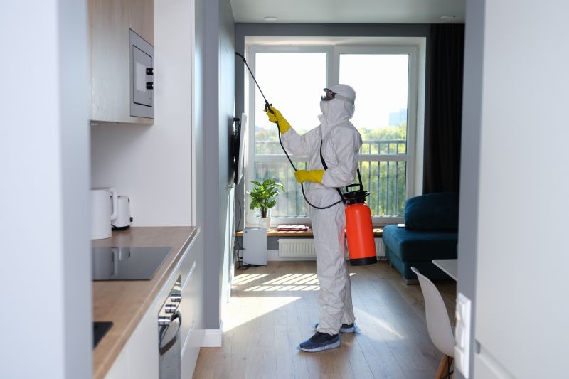 Mold Removal in West Palm Beach, FL