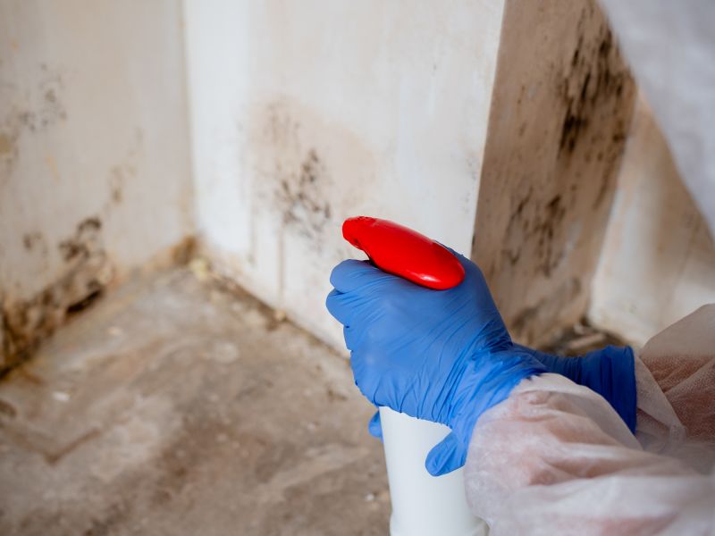 Mold Restoration in Essex County, NJ