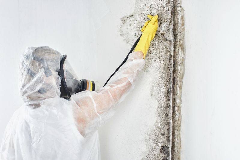 Mold Control in Pompano Beach, FL
