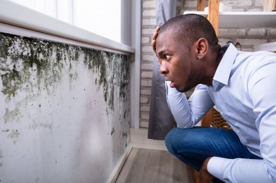 Mold Detection in Boca Raton, FL