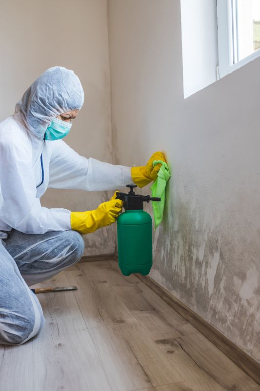 Mold Remediation Service in Broward County, FL